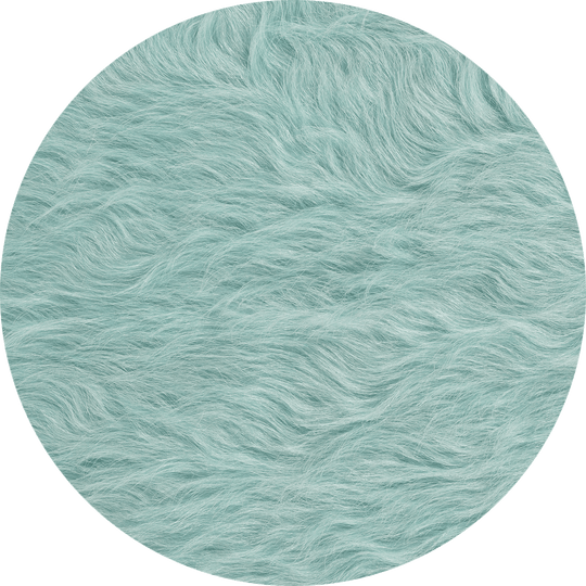 Foam