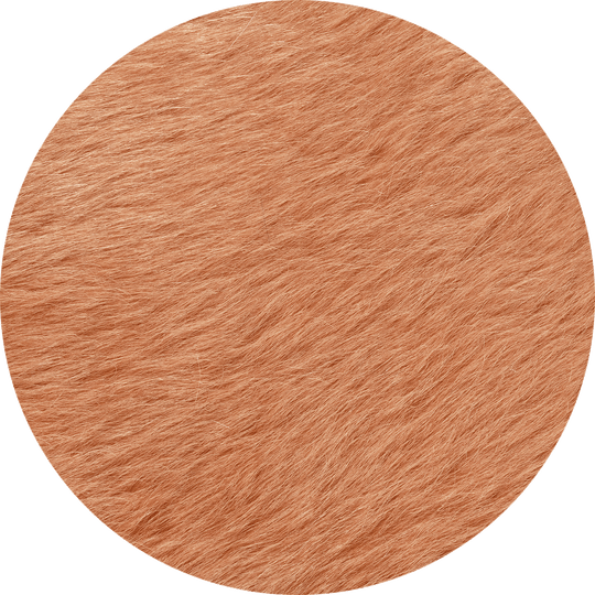 Guava