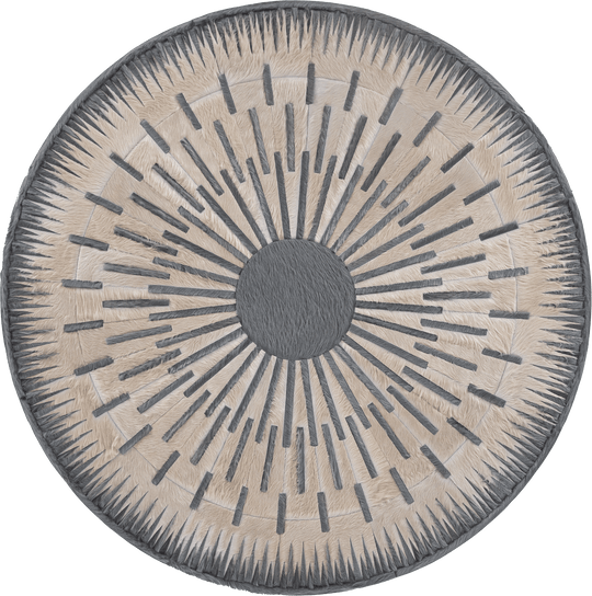 Shadowplay / 6ft Diameter / 00971
