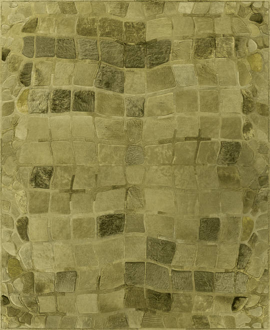 Croc / Hide Rug / 00645