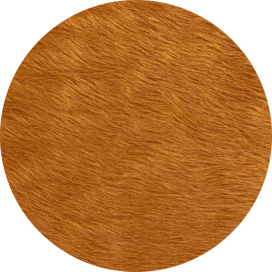 Saddle