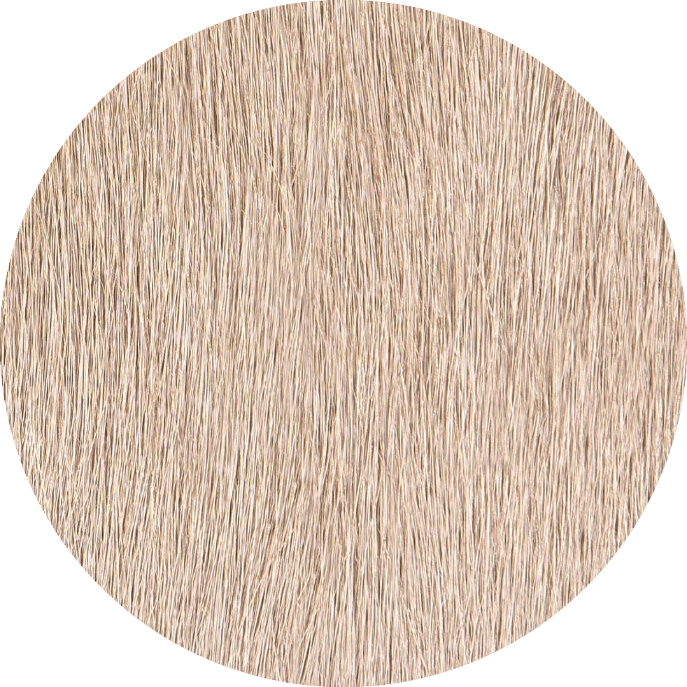 Birch