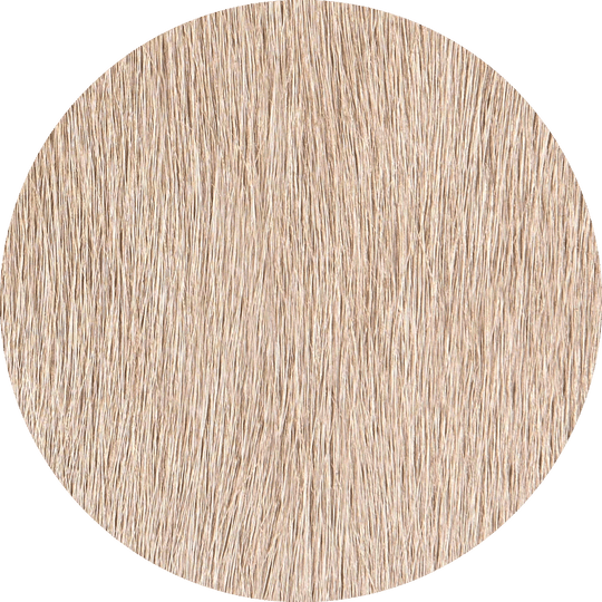 Birch