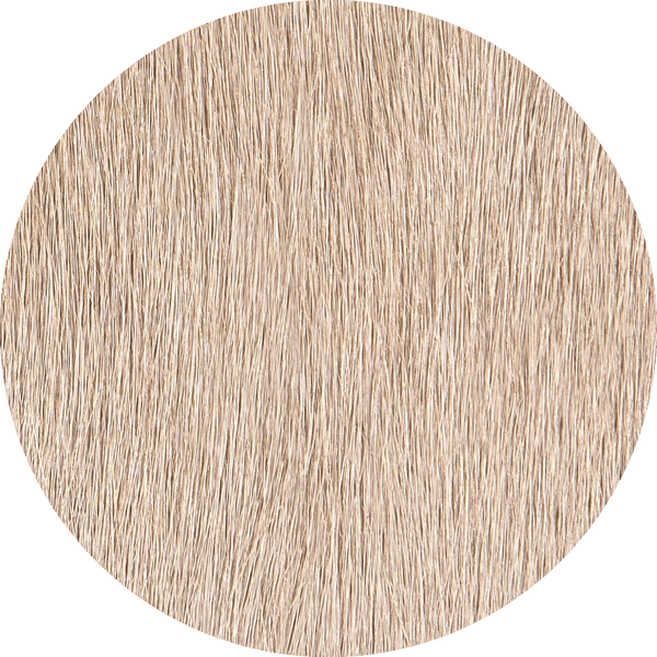Birch