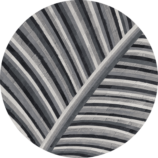 Biota