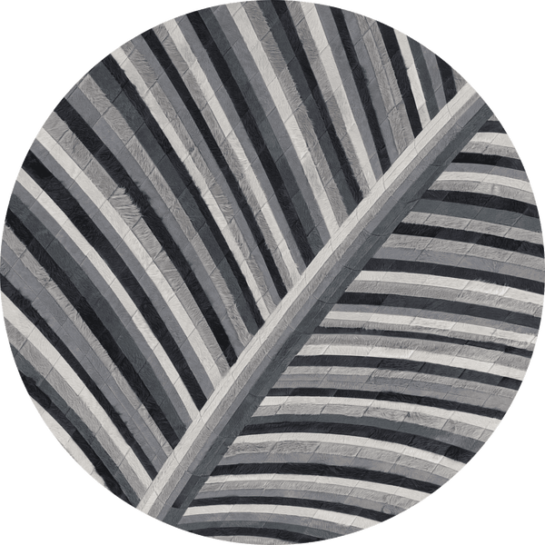 Biota