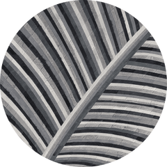 Biota