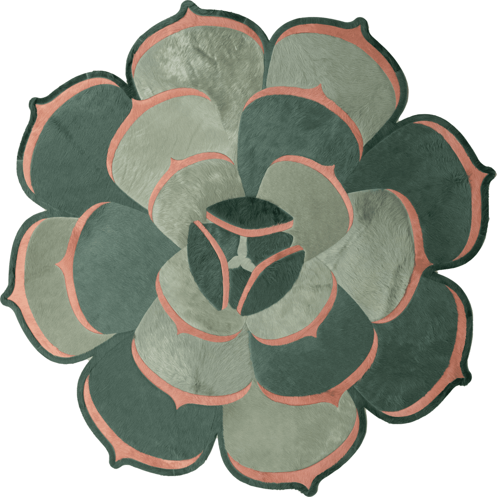 Succulent 2 / 6ft 2in Diameter / 01439