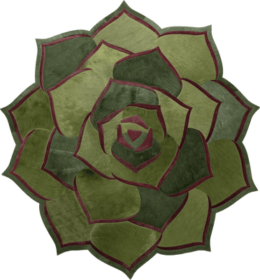 Succulent 1 