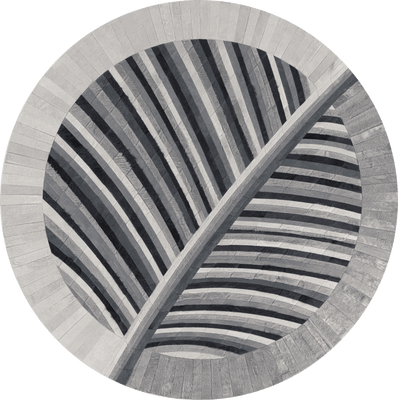 Biota 