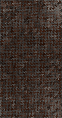 Black Dog 