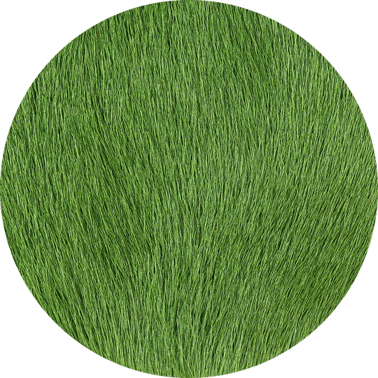 Turf