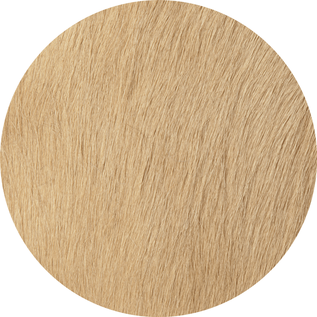 Wheat