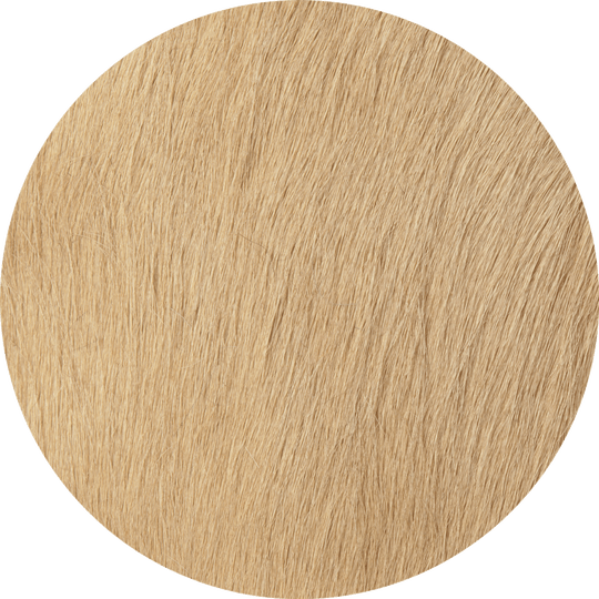 Wheat
