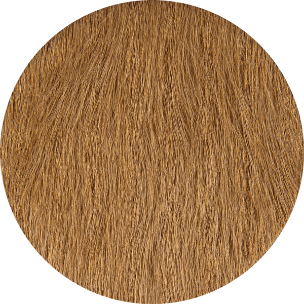 Oak