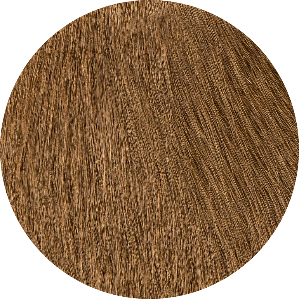 Pecan