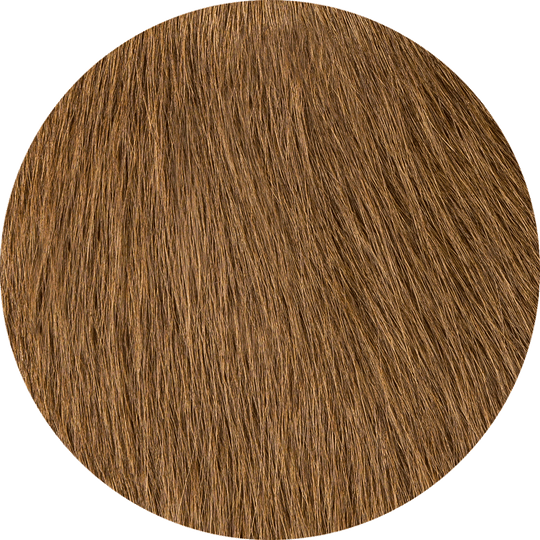 Pecan
