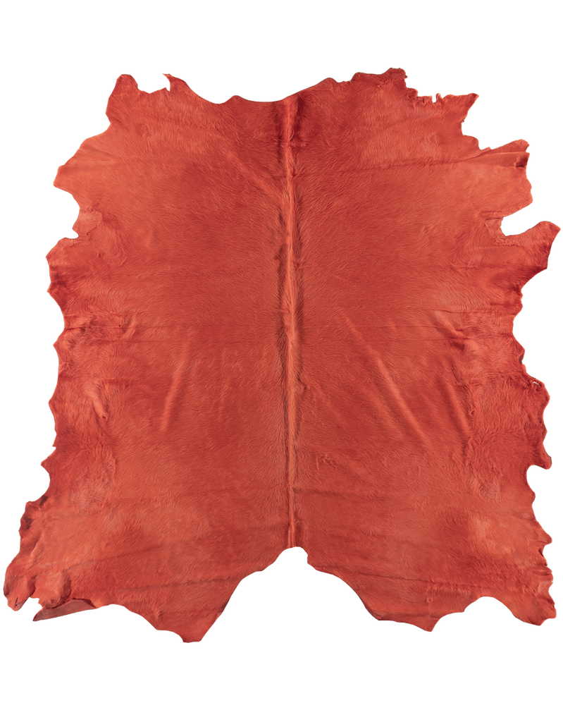 Coral #16390