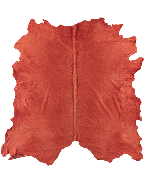 Coral #16390