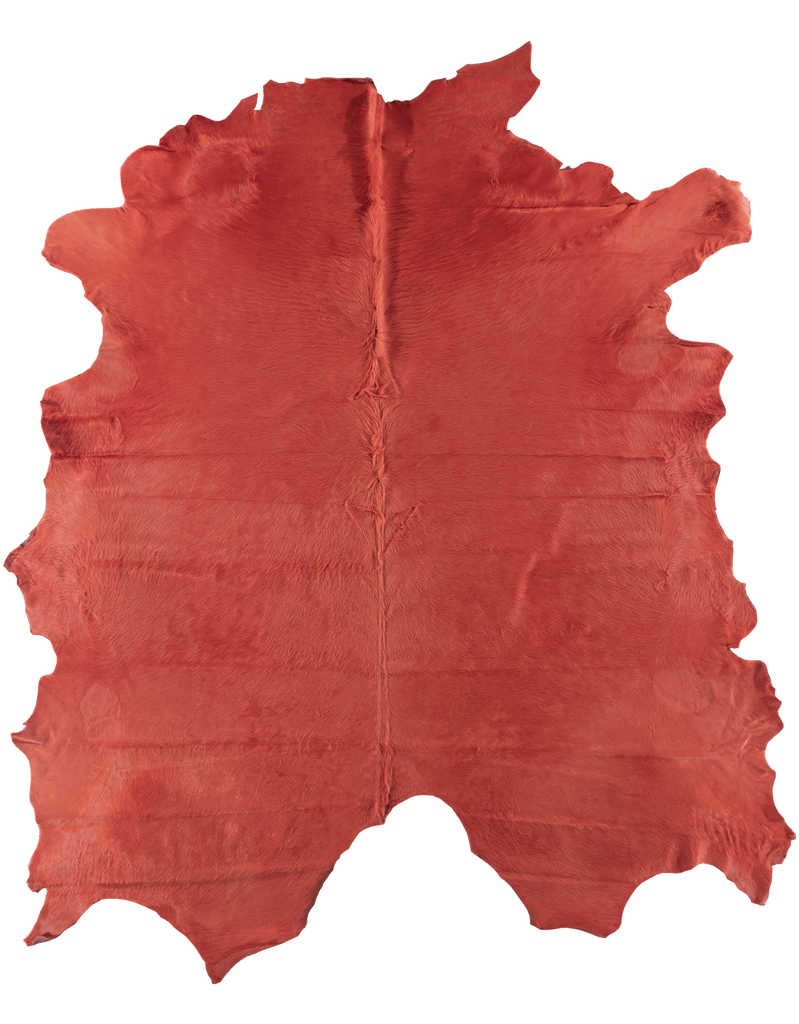 Coral #16391