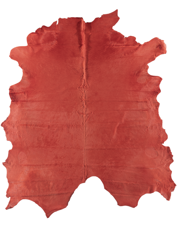 Coral #16391