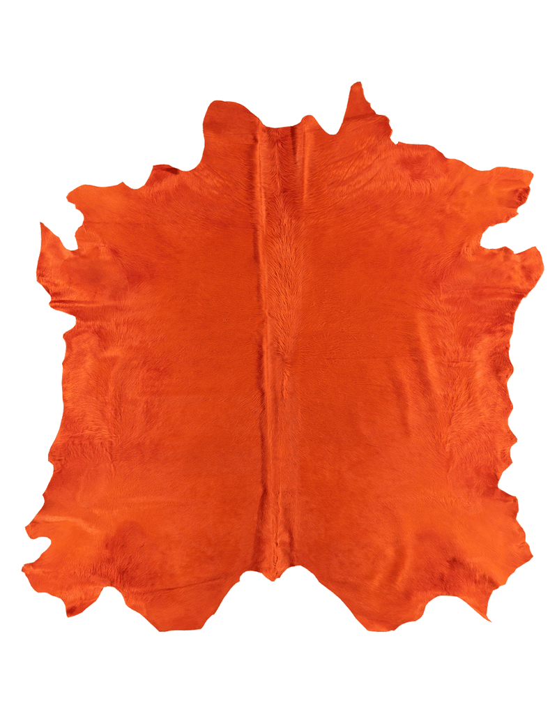Cone #16890