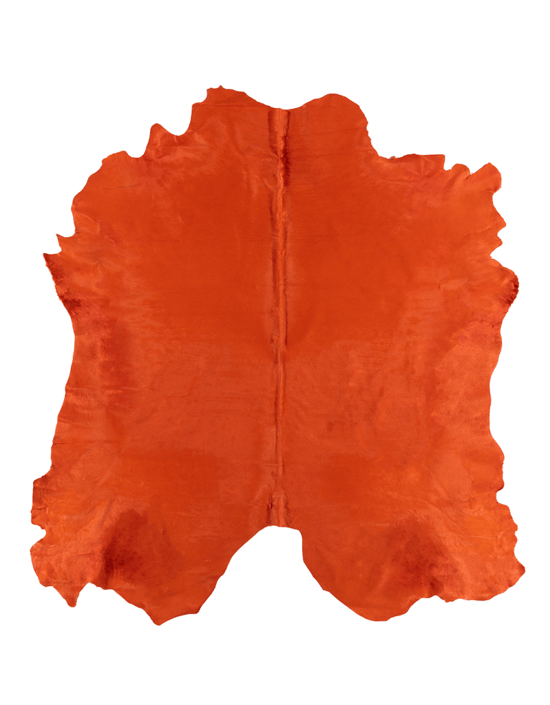 Cone #16891
