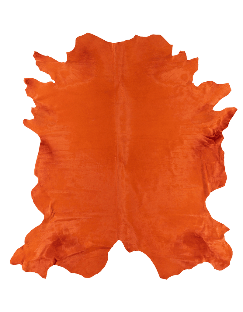 Cone #16892