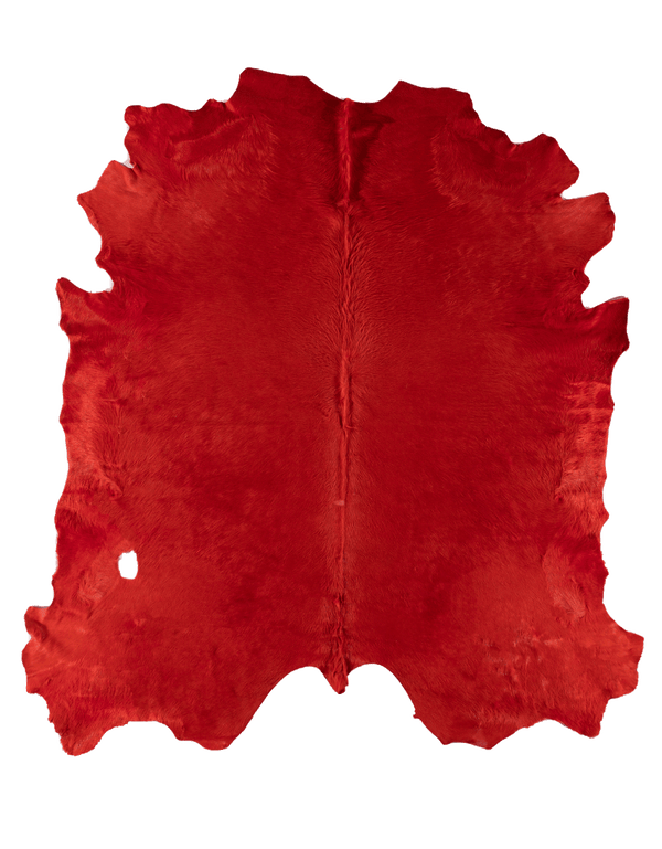 Coral #16932