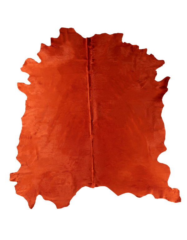 Cone #16953