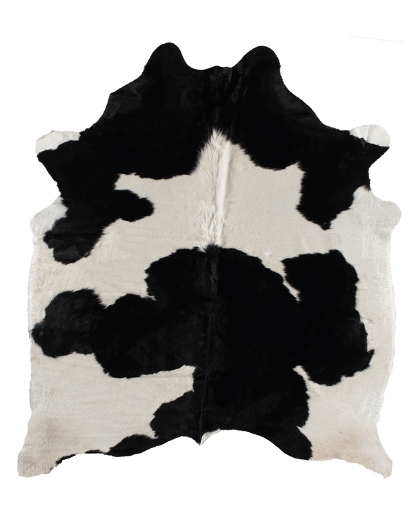 Robin Sheperd / Shopify #1219 / Black Cloud #16969