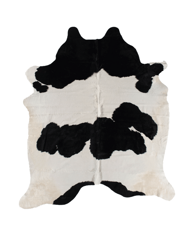 Black Cloud #16970