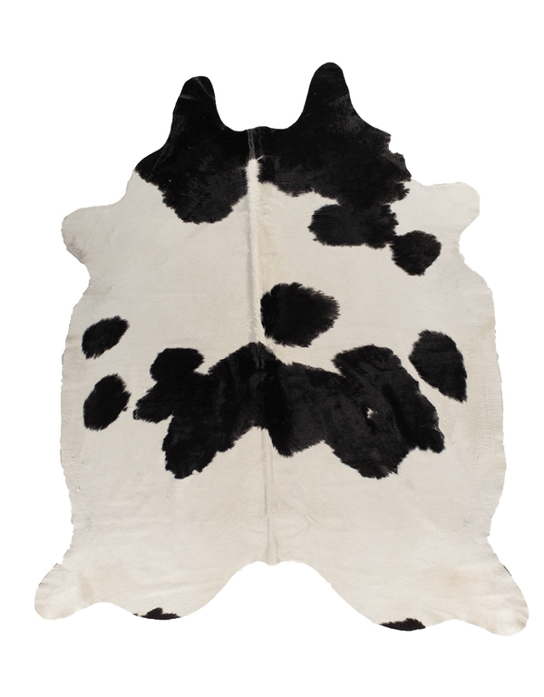 Robin Sheperd / Shopify Order #1226 / Black Cloud #16971