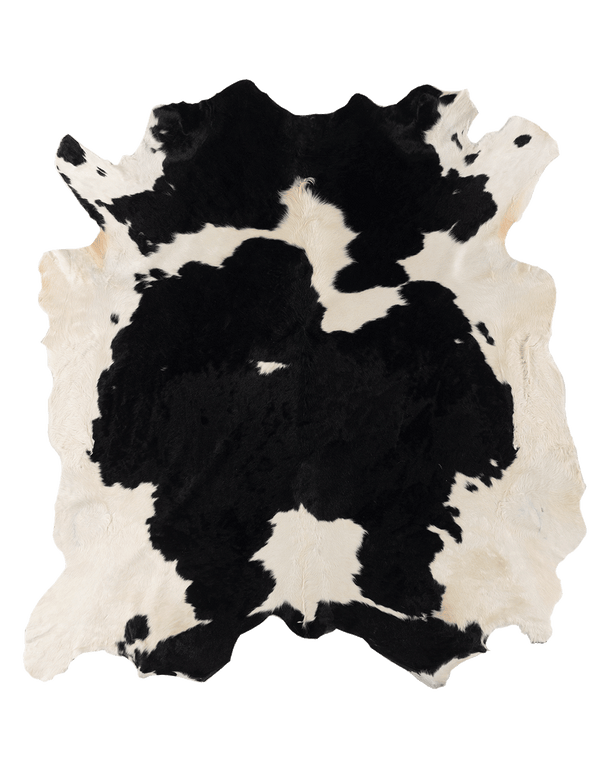 Black Cloud #17201