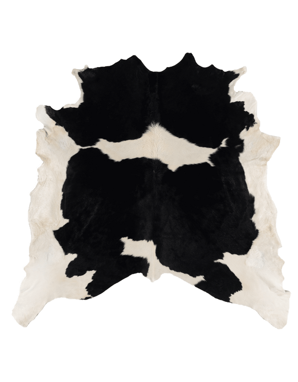 Black Cloud #17203