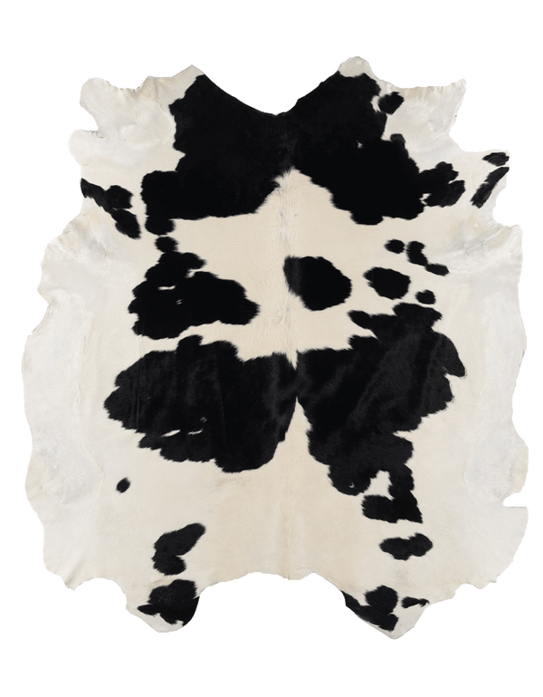 Black Cloud #17204