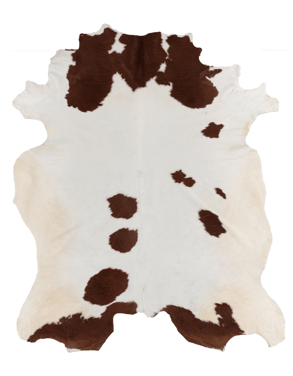 Anna Beeber Design / Brown Cloud #17206