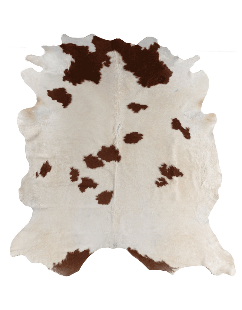 Anna Beeber Design / Brown Cloud #17253
