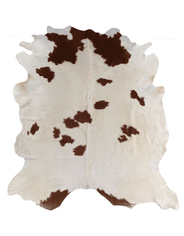 Anna Beeber Design / Brown Cloud #17253