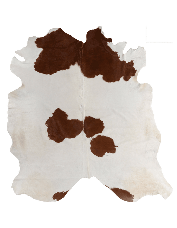 Brown Cloud #17254