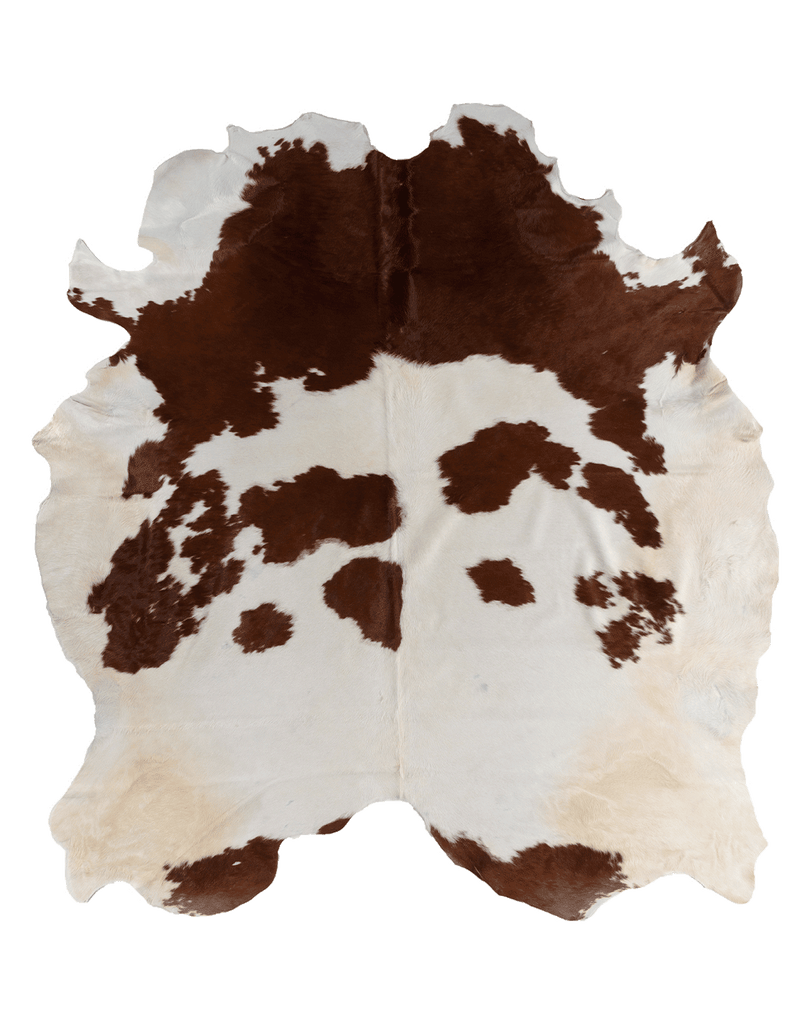 Brown Cloud #17255