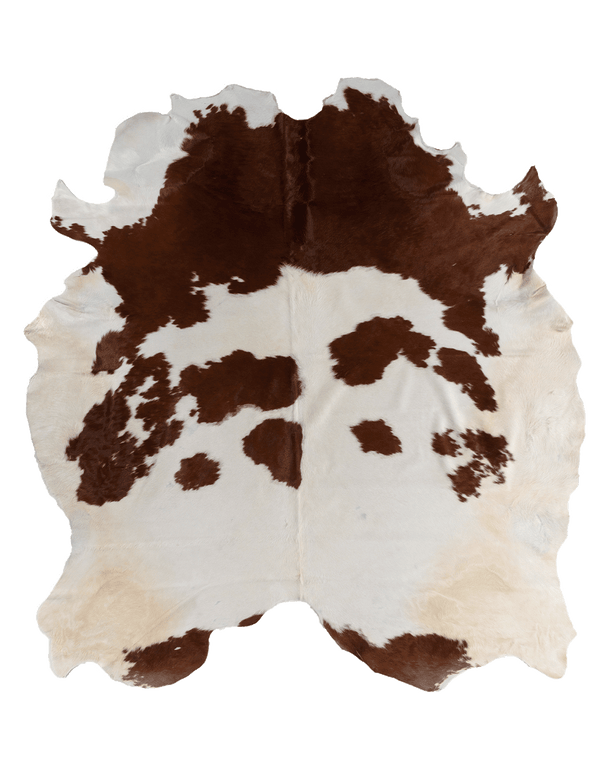 Brown Cloud #17255