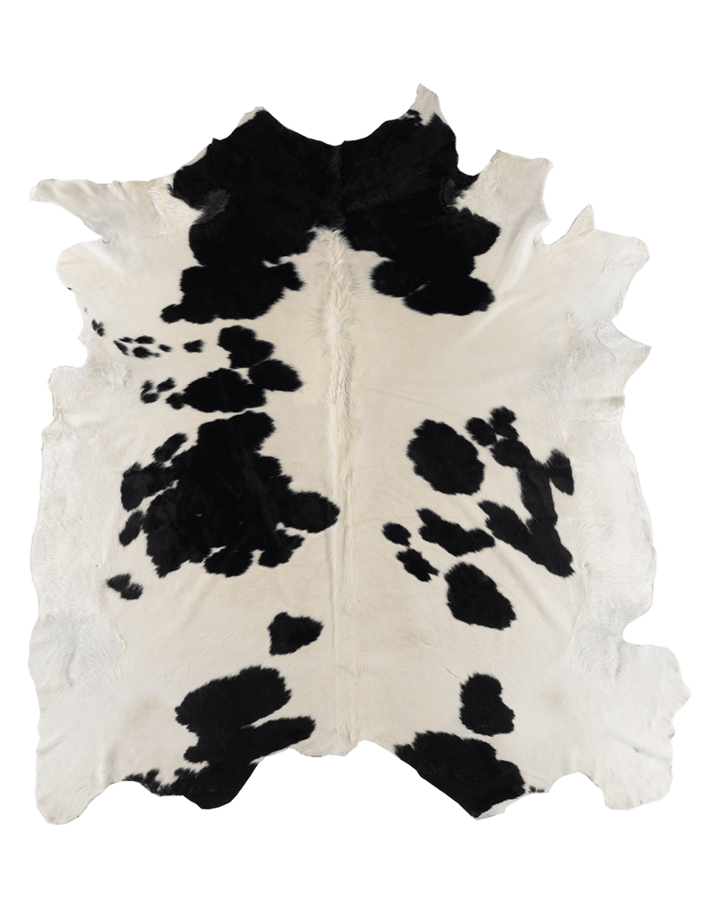 Black Cloud #17259