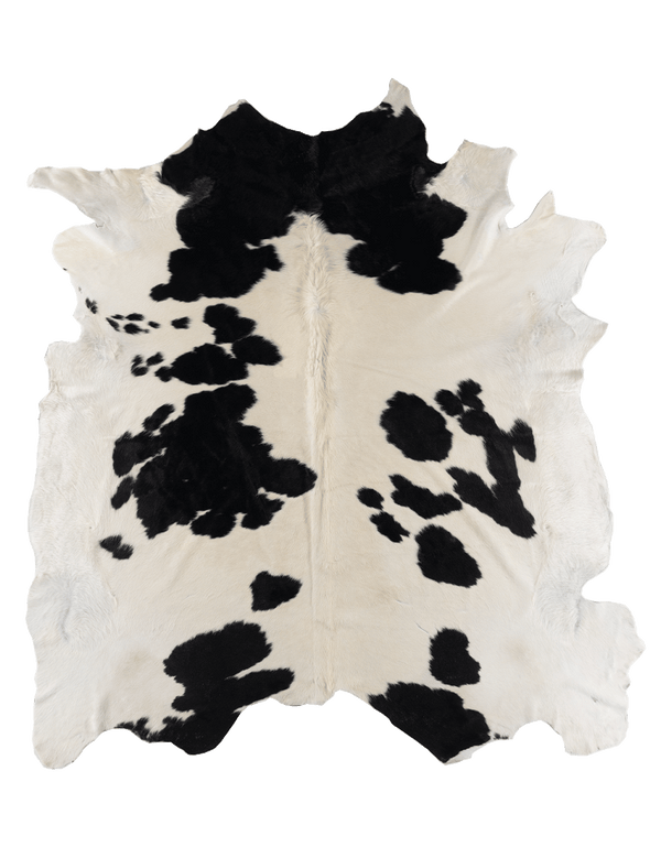 Black Cloud #17259