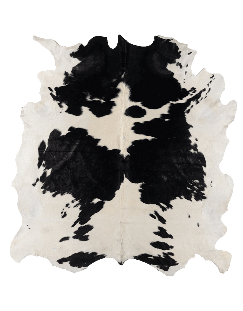 Black Cloud #17260