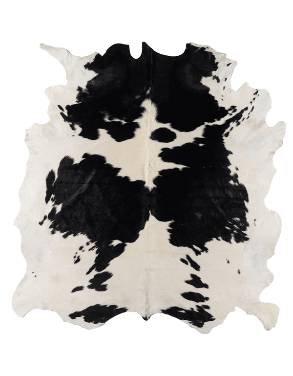 Black Cloud #17260