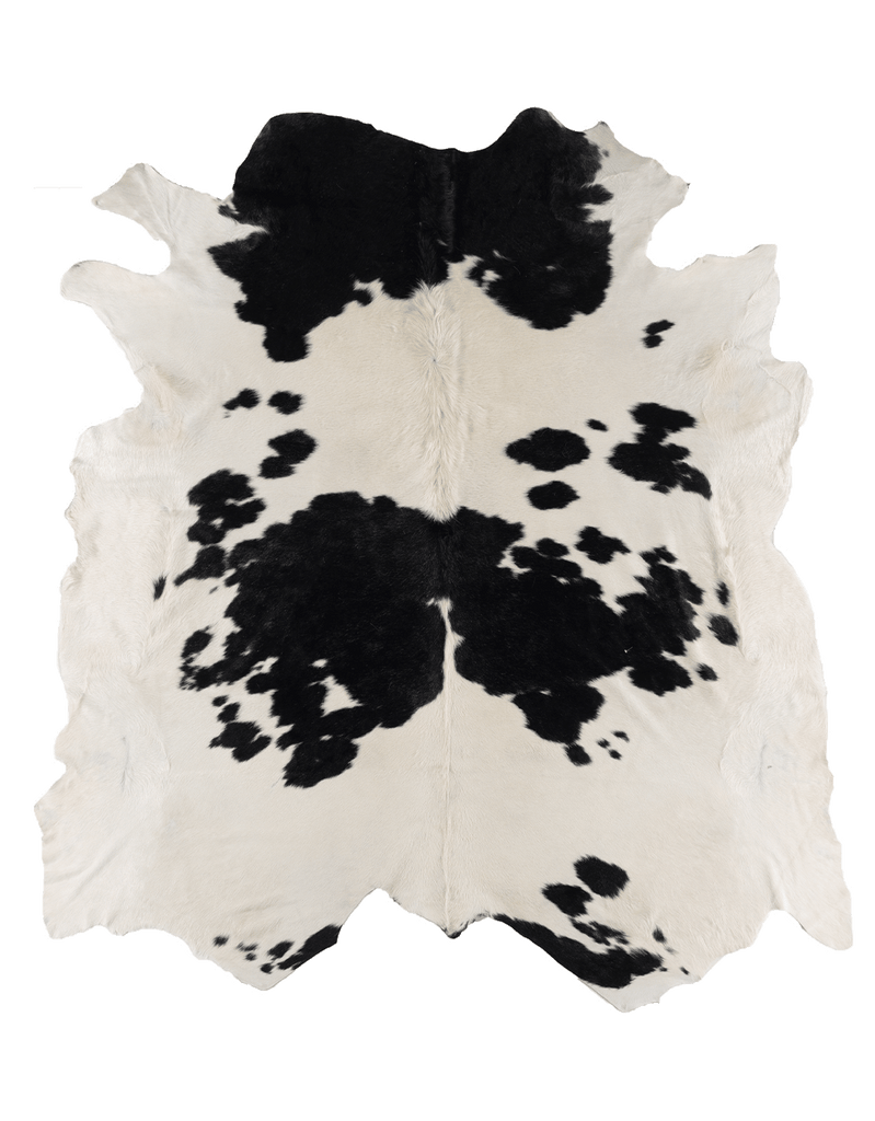 Black Cloud #17261