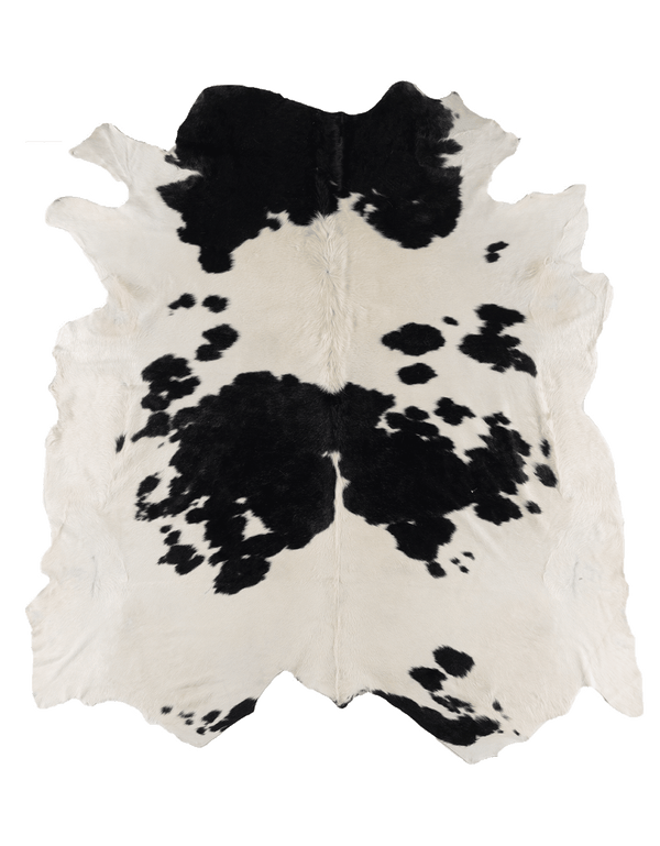 Black Cloud #17261