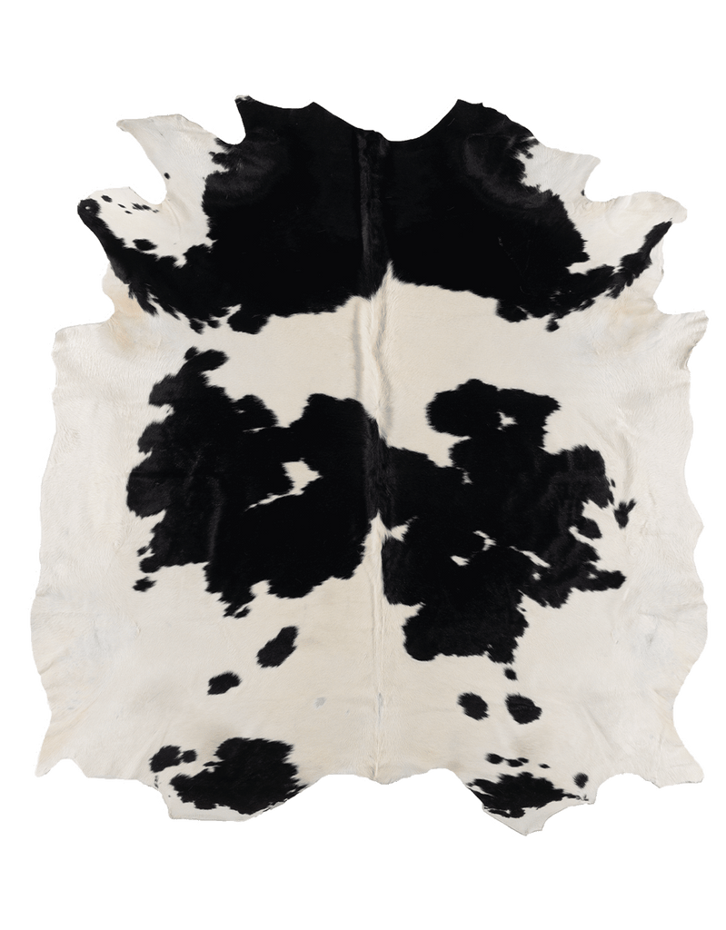 Black Cloud #17262
