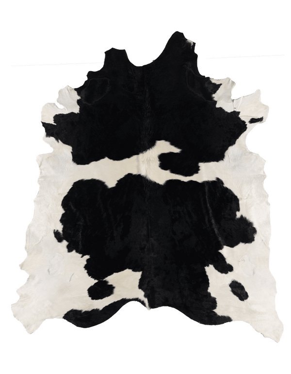 Black Cloud #17263